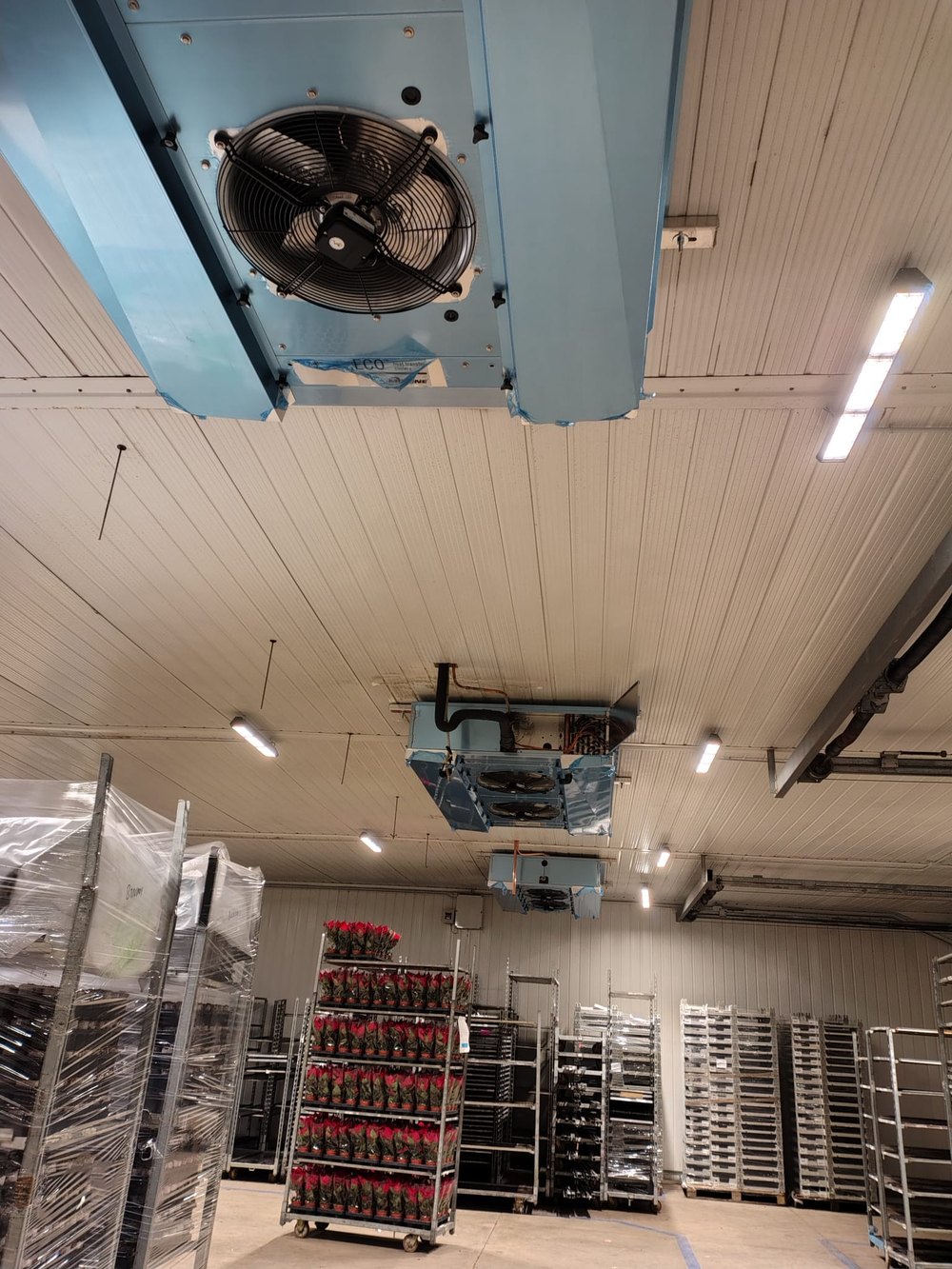 Magazzino refrigerato con aeroevaporatori a soffitto e carrelli di prodotto