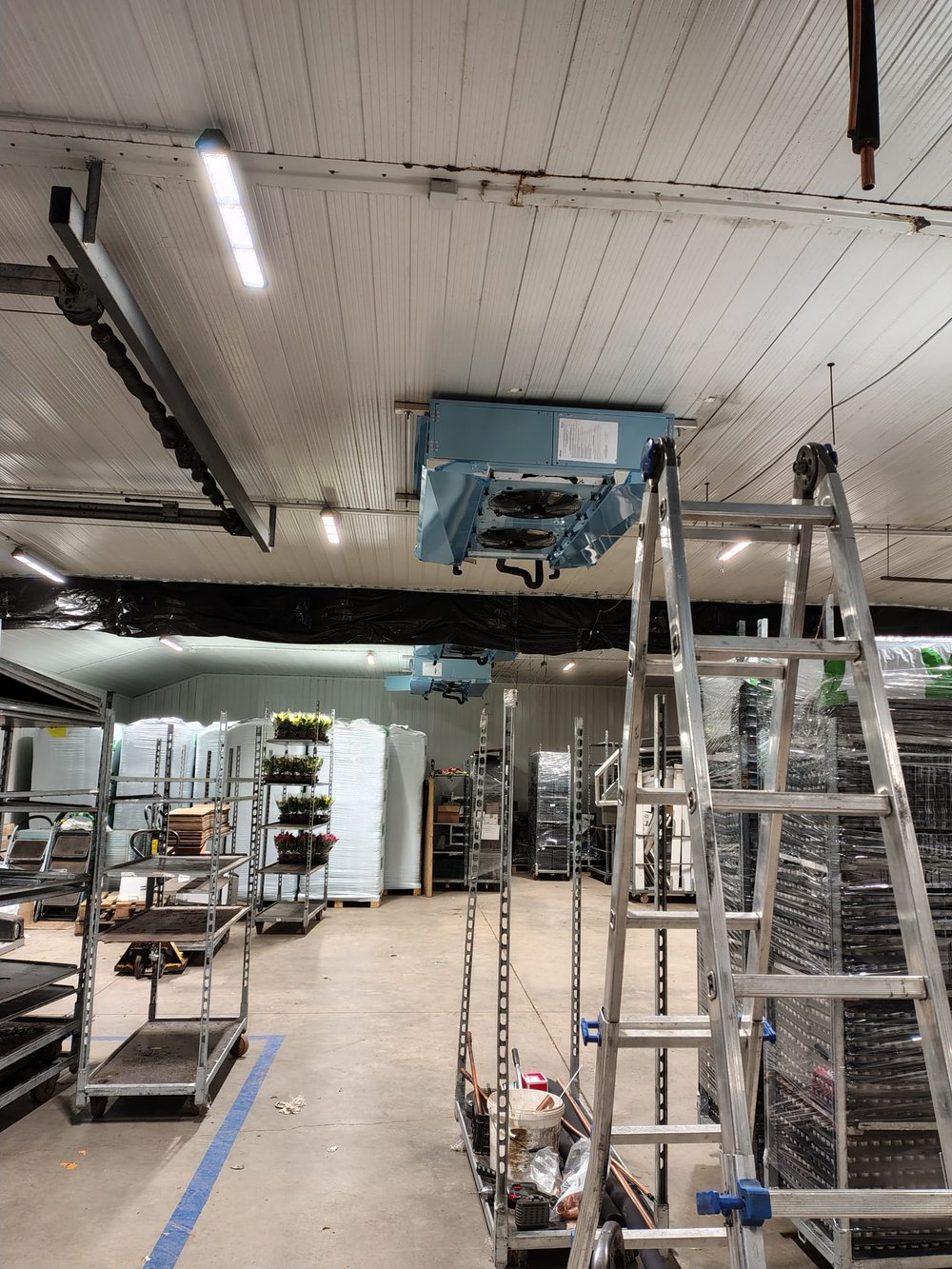 Magazzino refrigerato con aeroevaporatore a soffitto e scala durante l'assistenza